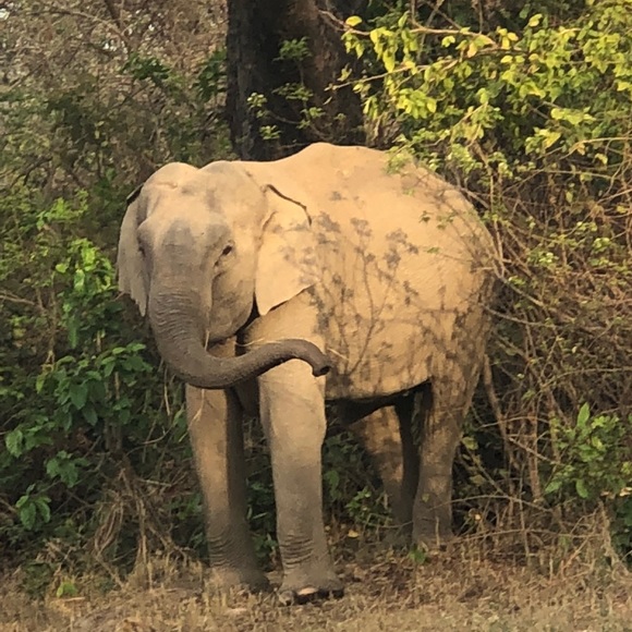 Meet your Posher, Erika - Picture 2 of 7